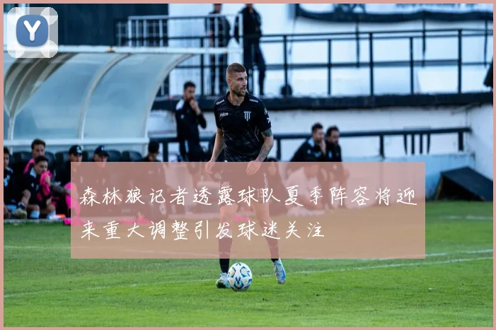 森林狼记者透露球队夏季阵容将迎来重大调整引发球迷关注